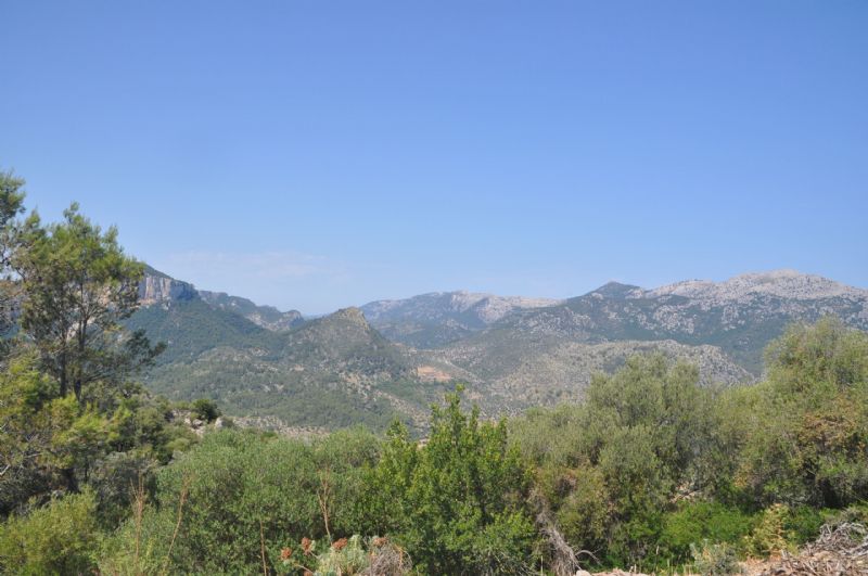 Country houses for Sale in MANCOR DE LA VALL, MAJORCA, Spain