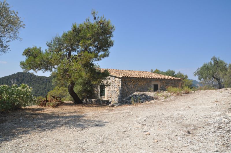 Country houses for Sale in MANCOR DE LA VALL, MAJORCA, Spain