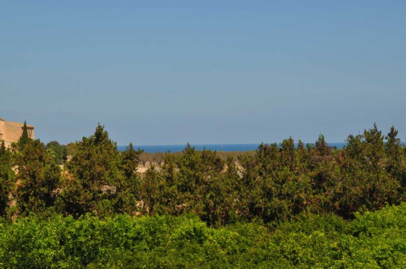 Country houses for Rent in SANTA MARGALIDA, MAJORCA, Spain