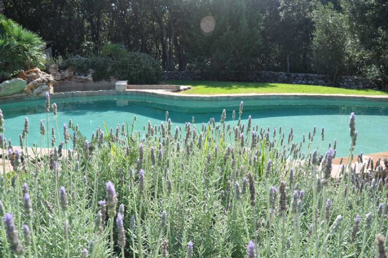 Country houses for Rent in POLLENSA, MAJORCA, Spain