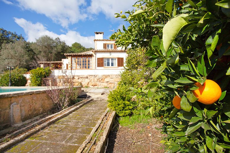 Country houses for Rent in SA POBLA, MAJORCA, Spain
