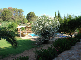 Country houses for Rent in Badia Blava, LLUCMAJOR, MAJORCA, Spain
