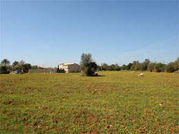 Country houses for Rent in Son Valls, FELANITX, MAJORCA, Spain