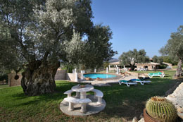 Country houses for Rent in POLLENSA, MAJORCA, Spain