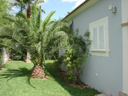 Villas for Rent in Playas de Muro, MURO, MAJORCA, Spain