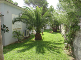 Villas for Rent in Playas de Muro, MURO, MAJORCA, Spain