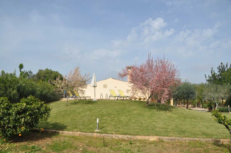 Country houses for Rent in BUGER, MAJORCA, Spain