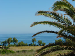 Villas for Rent in Colonia Sant Pere, ARTA, MAJORCA, Spain