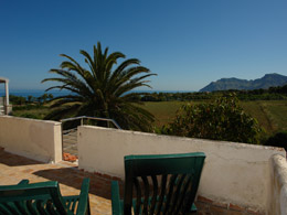 Villas for Rent in Colonia Sant Pere, ARTA, MAJORCA, Spain