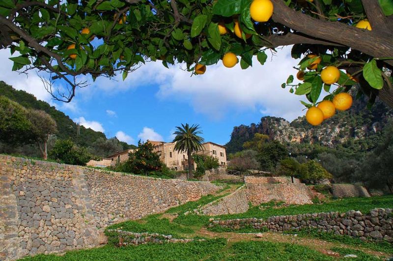 Country houses for Rent in BUNYOLA, MAJORCA, Spain