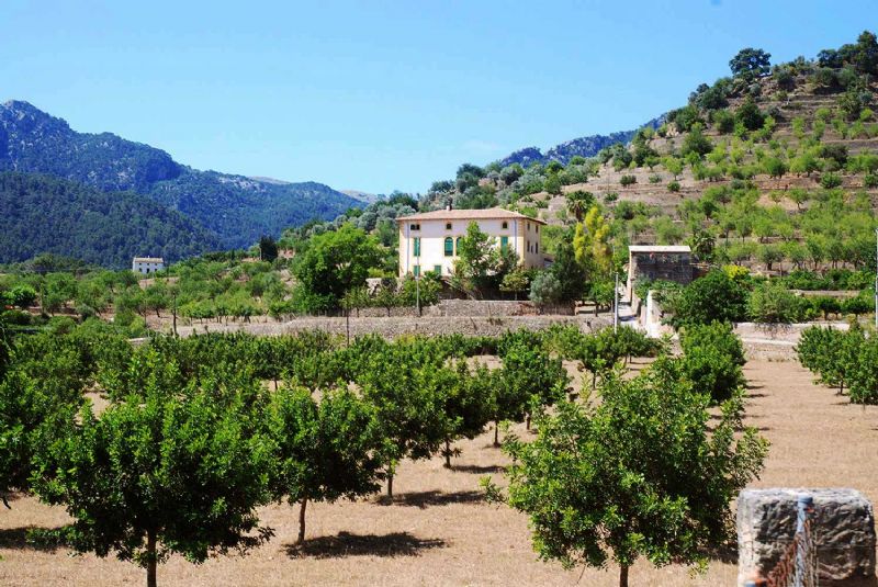 Country houses for Rent in BUNYOLA, MAJORCA, Spain