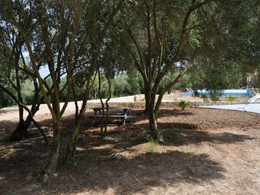 Country houses for Rent in SANT LLORENS, MAJORCA, Spain