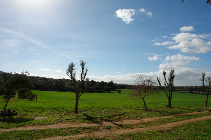 Country houses for Rent in SANT LLORENS, MAJORCA, Spain