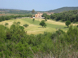 Country houses for Rent in SANT LLORENS, MAJORCA, Spain