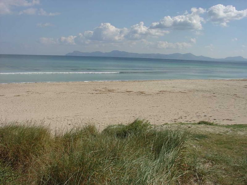 Apartments/Flats for Rent in Can Picafort, SANTA MARGALIDA, MAJORCA, Spain