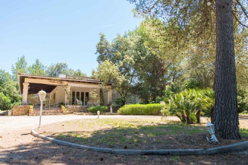 Country houses for Rent in ALCUDIA, MAJORCA, Spain