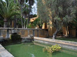 Villas for Rent in Cala Bona, SON SERVERA, MAJORCA, Spain