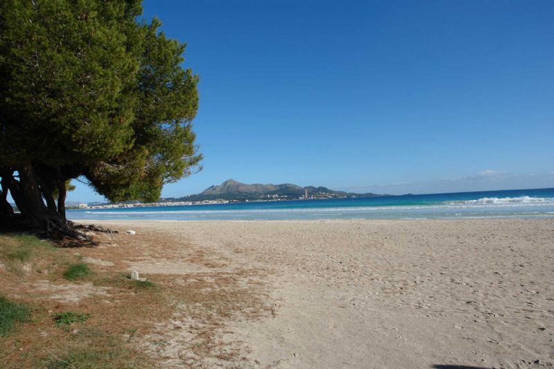 Villas for Rent in PUERTO DE ALCUDIA, ALCUDIA, MAJORCA, Spain