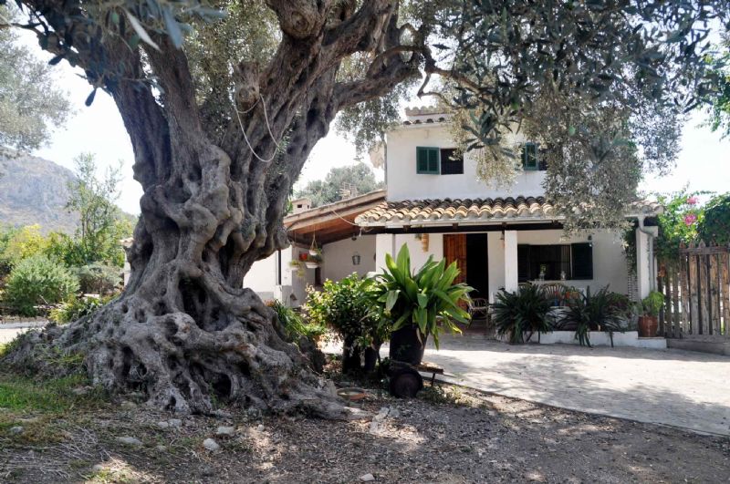 Country houses for Rent in ALCUDIA, MAJORCA, Spain