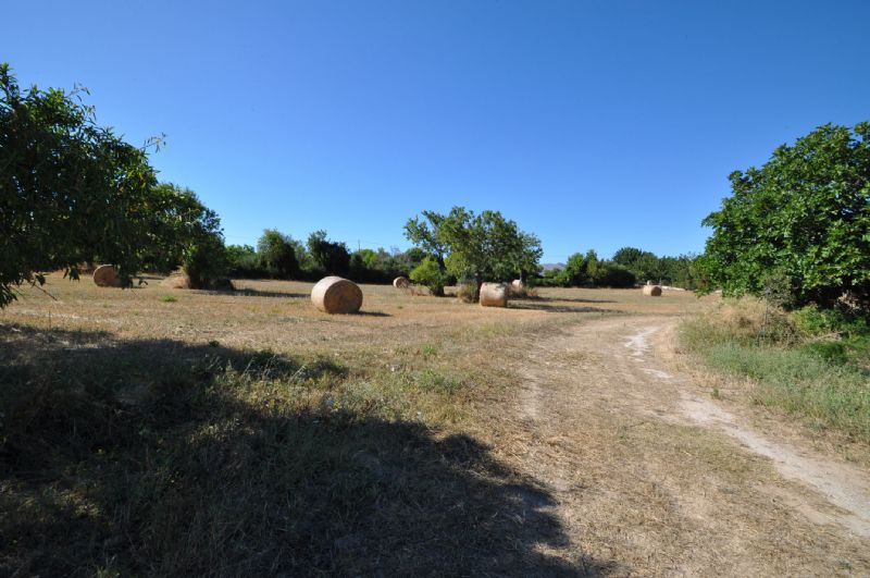 Country houses for Rent in ALCUDIA, MAJORCA, Spain