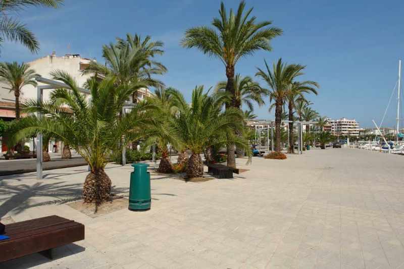 Apartments/Flats for Rent in PUERTO DE ALCUDIA, ALCUDIA, MAJORCA, Spain