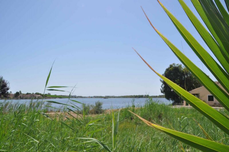 Villas for Rent in ALCUDIA, MAJORCA, Spain