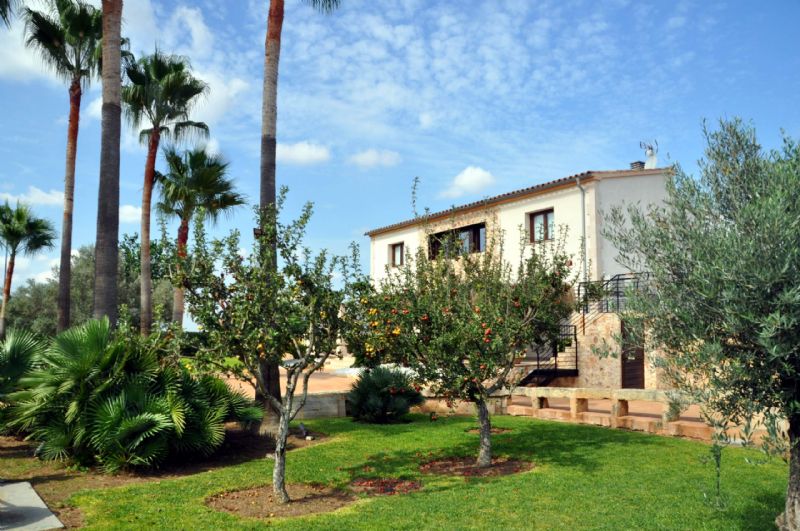 Country houses for Rent in MURO, MAJORCA, Spain