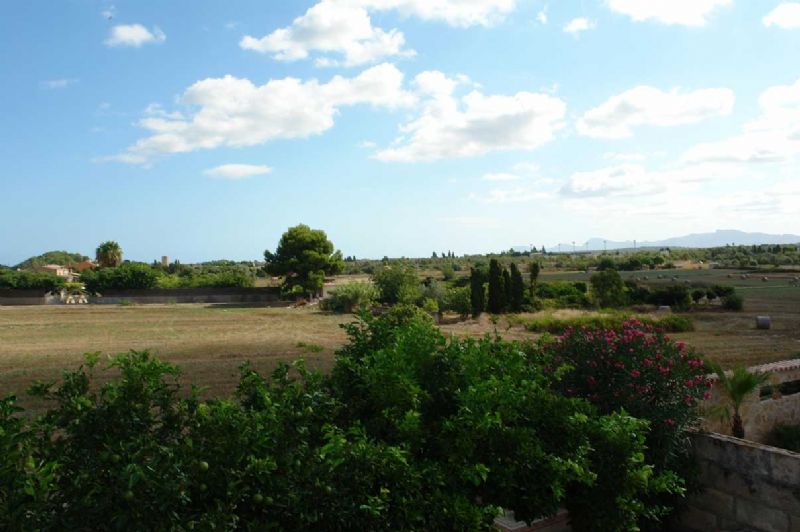Villas for Rent in SANTA MARGALIDA, MAJORCA, Spain