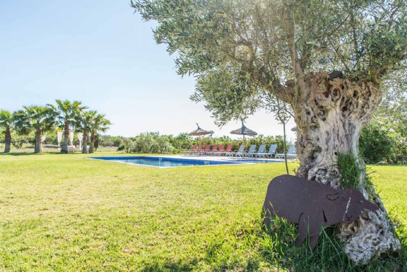 Country houses for Rent in PETRA, MAJORCA, Spain