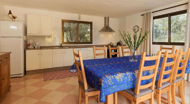 Country houses for Rent in POLLENSA, MAJORCA, Spain
