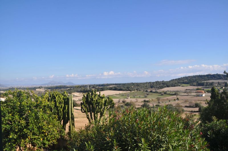 Townhouses for Rent in MURO, MAJORCA, Spain