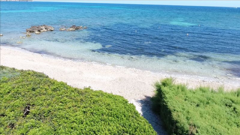 Villas for Rent in Port Nou, SON SERVERA, MAJORCA, Spain