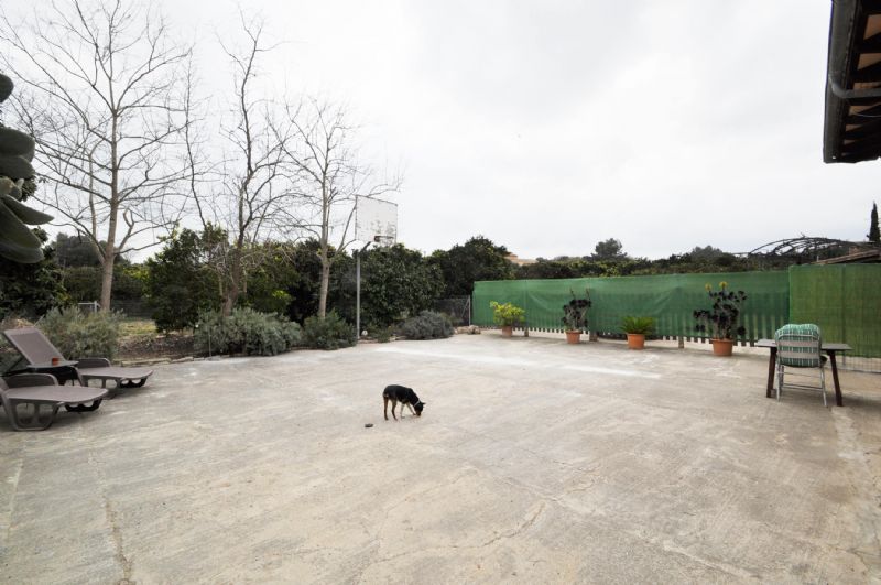 Country houses for Rent in MURO, MAJORCA, Spain